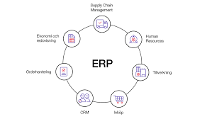 Leveraging NetSuite ERP for Better Business Intelligence and Reporting