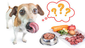 The Health Benefits of Raw Dog Food for Massapequa Pets